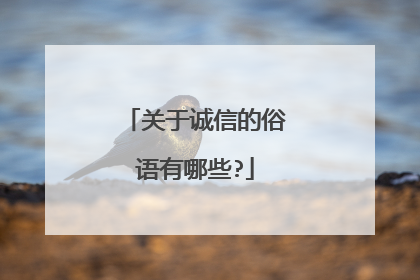 关于诚信的俗语有哪些?