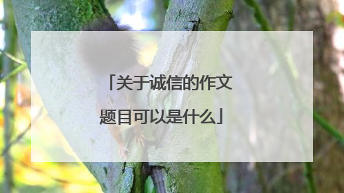 关于诚信的作文题目可以是什么