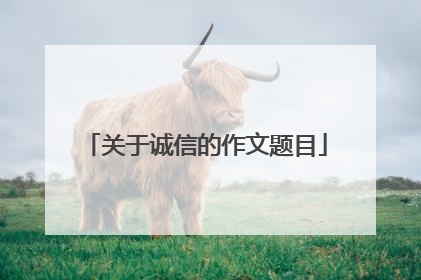 关于诚信的作文题目