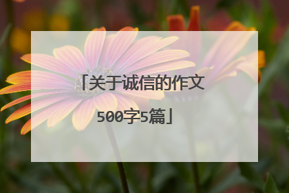 关于诚信的作文500字5篇