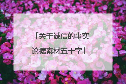 关于诚信的事实论据素材五十字