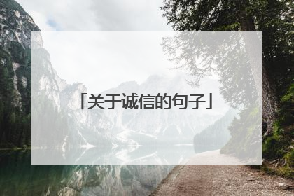 关于诚信的句子