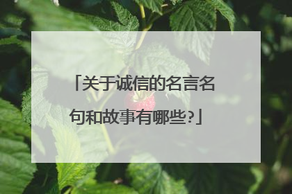 关于诚信的名言名句和故事有哪些?