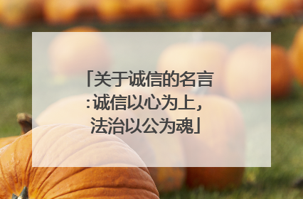 关于诚信的名言:诚信以心为上, 法治以公为魂