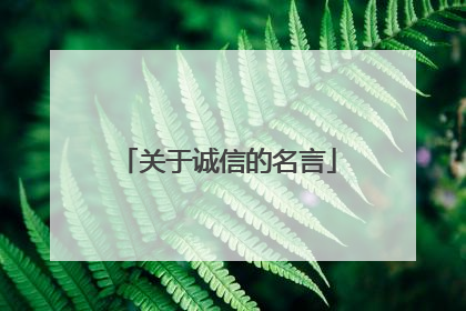 关于诚信的名言