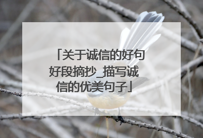 关于诚信的好句好段摘抄_描写诚信的优美句子