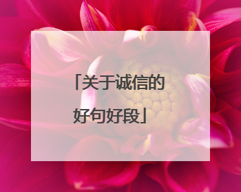 关于诚信的好句好段