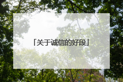 关于诚信的好段