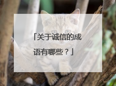 关于诚信的成语有哪些？