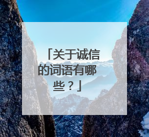 关于诚信的词语有哪些？
