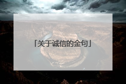 关于诚信的金句