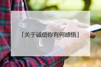 关于诚信你有何感悟