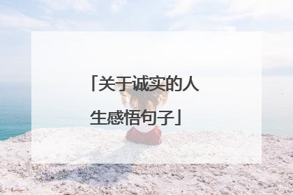 关于诚实的人生感悟句子