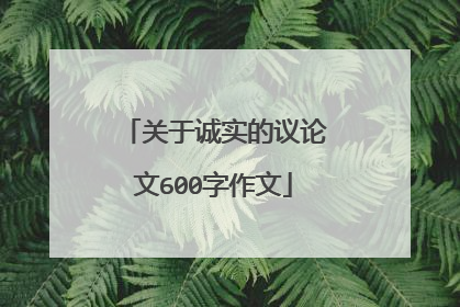 关于诚实的议论文600字作文