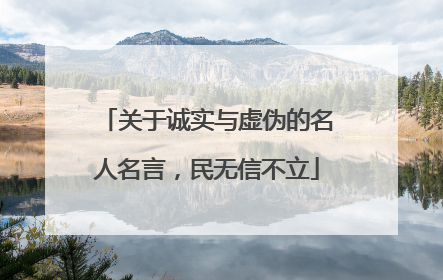 关于诚实与虚伪的名人名言,民无信不立