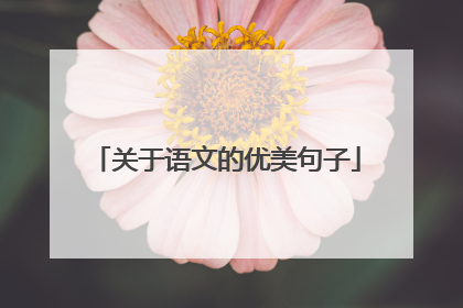 关于语文的优美句子