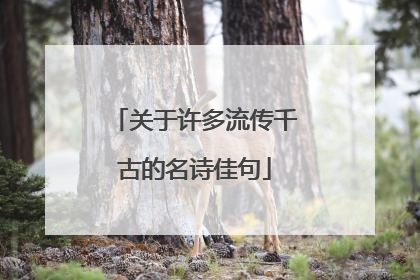 关于许多流传千古的名诗佳句