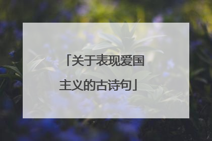 关于表现爱国主义的古诗句