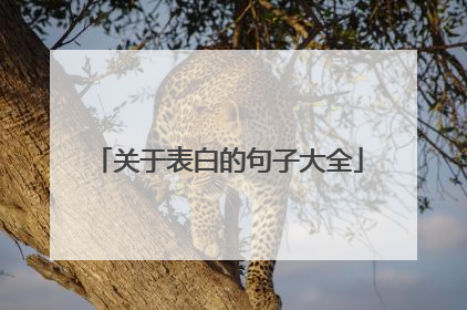 关于表白的句子大全