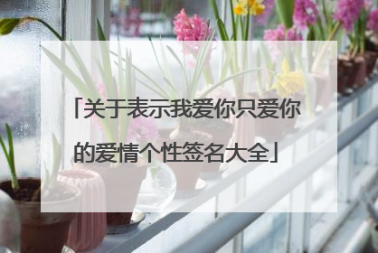 关于表示我爱你只爱你的爱情个性签名大全