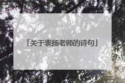 关于表扬老师的诗句