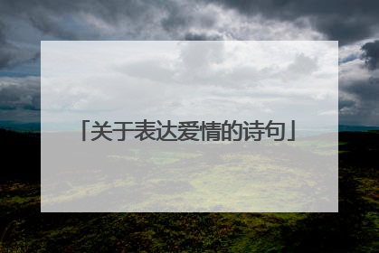 关于表达爱情的诗句