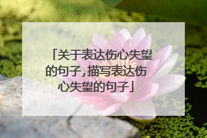 关于表达伤心失望的句子,描写表达伤心失望的句子