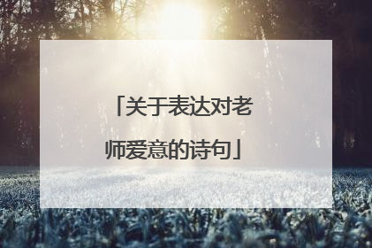 关于表达对老师爱意的诗句