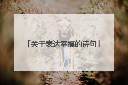 关于表达幸福的诗句
