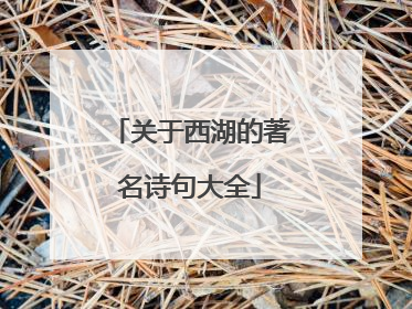 关于西湖的著名诗句大全