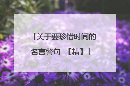 关于要珍惜时间的名言警句 【精】