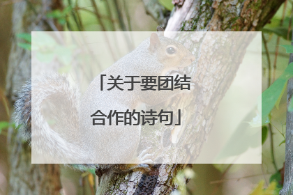 关于要团结合作的诗句
