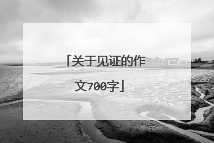 关于见证的作文700字