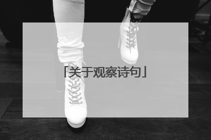 关于观察诗句