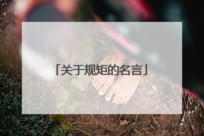 关于规矩的名言