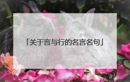 关于言与行的名言名句