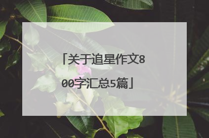 关于追星作文800字汇总5篇