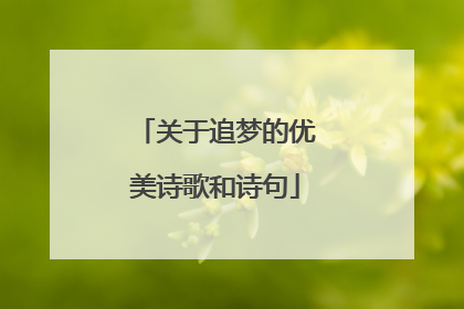 关于追梦的优美诗歌和诗句