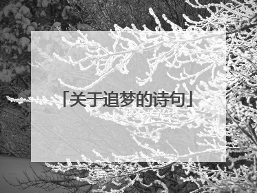关于追梦的诗句