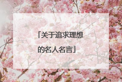 关于追求理想的名人名言