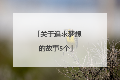 关于追求梦想的故事5个