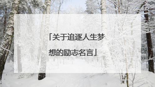 关于追逐人生梦想的励志名言
