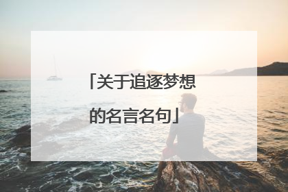关于追逐梦想的名言名句