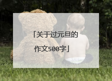 关于过元旦的作文500字
