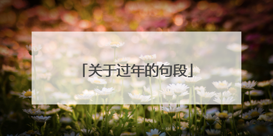 关于过年的句段