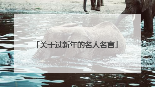 关于过新年的名人名言