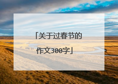 关于过春节的作文300字