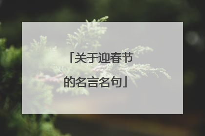 关于迎春节的名言名句