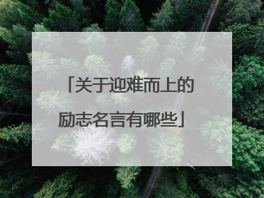 关于迎难而上的励志名言有哪些