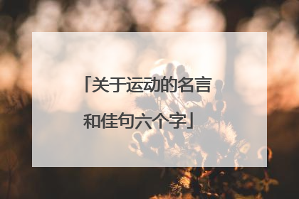 关于运动的名言和佳句六个字